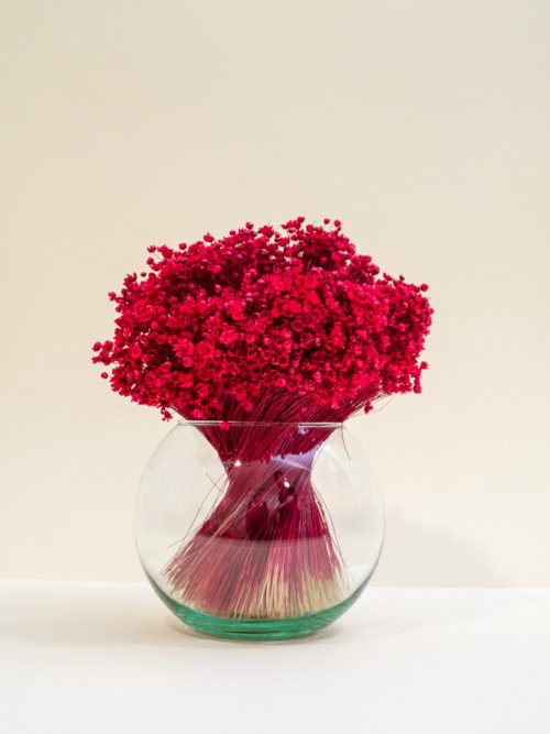 Meggypiros glixia szárazvirág