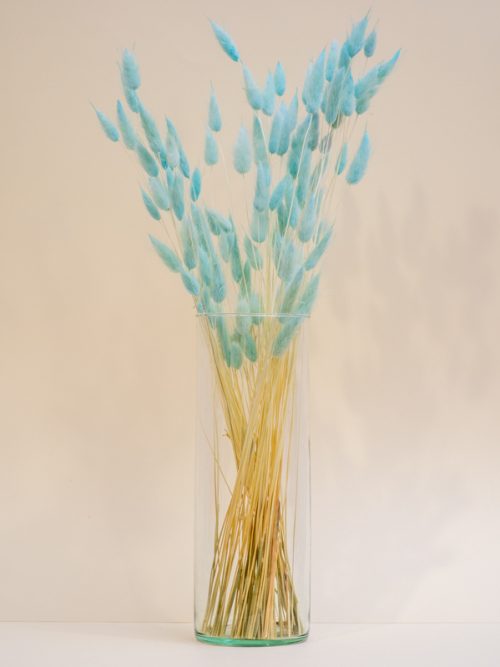 Babakék lagurusz szárazvirág