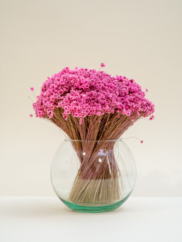 Rózsaszín glixia szárazvirág