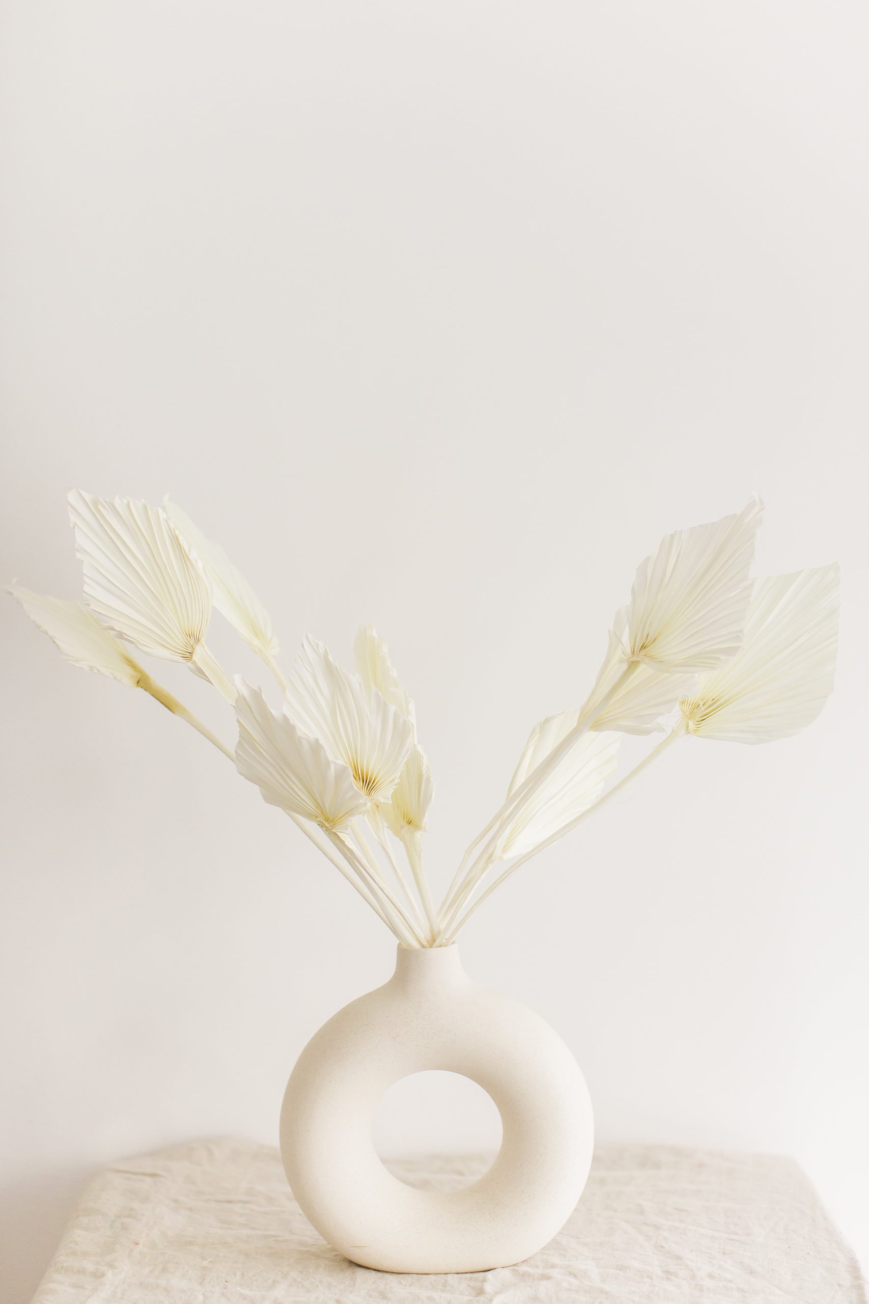 feher-palmalevel-szarazvirag