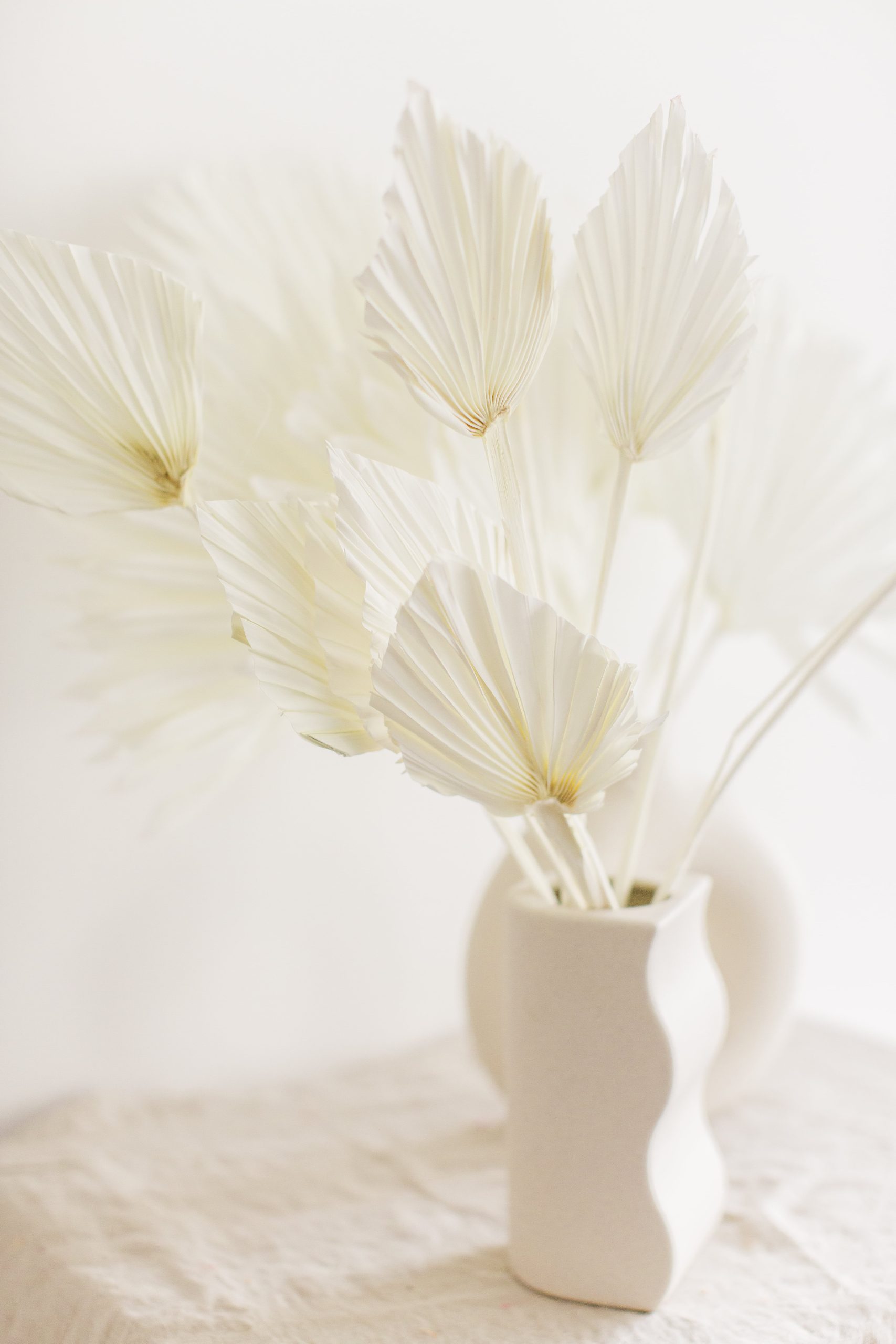 feher-palmalevel-szarazvirag-1