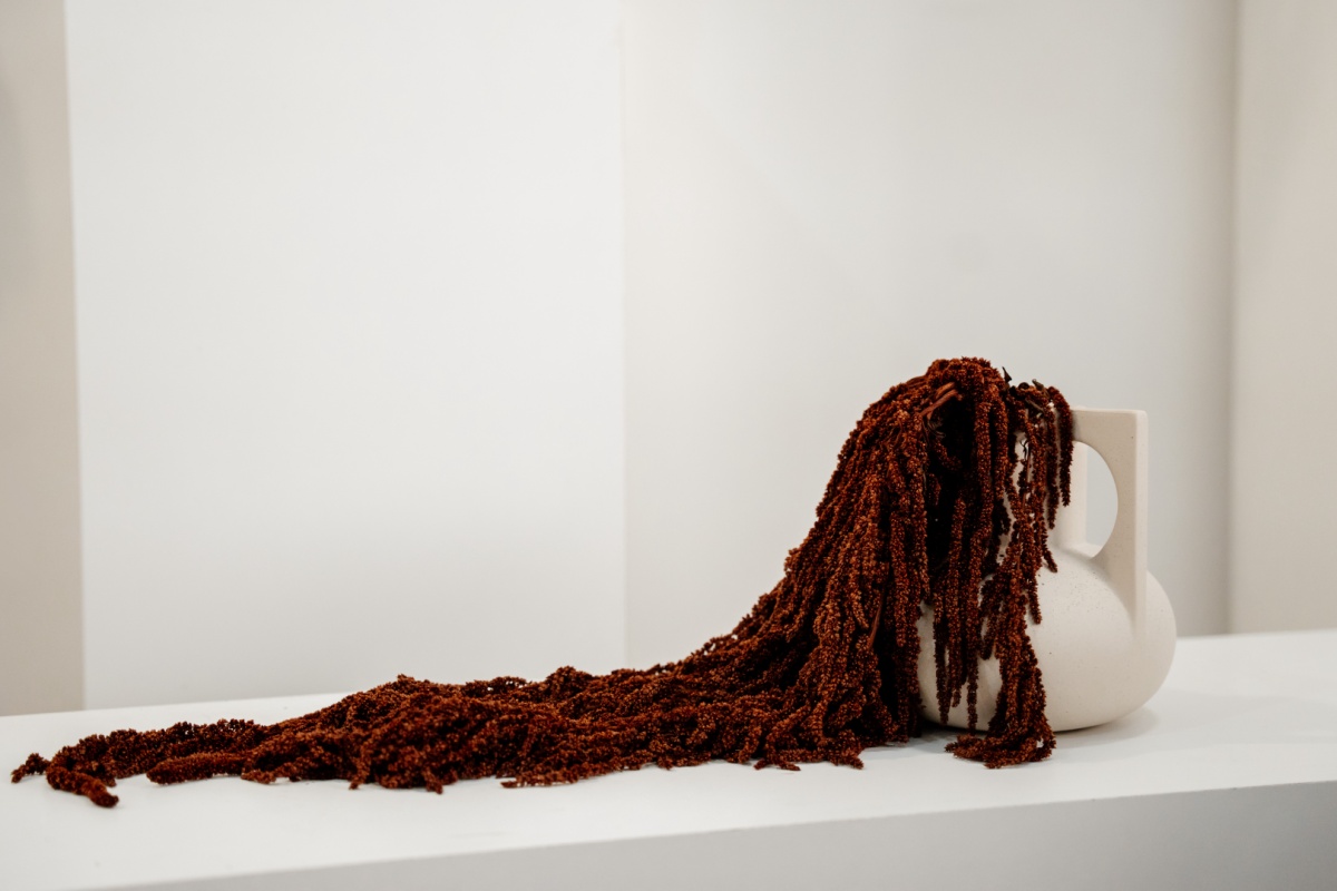 barnasvoros-csungo-amarant-3