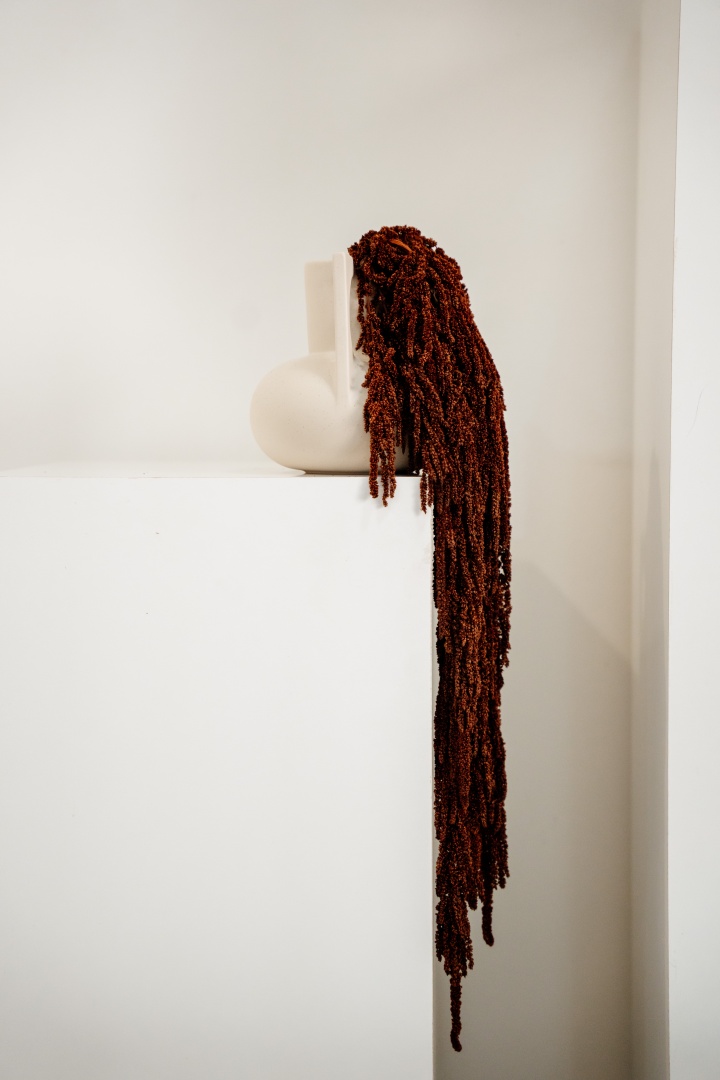 barnasvoros-csungo-amarant-1