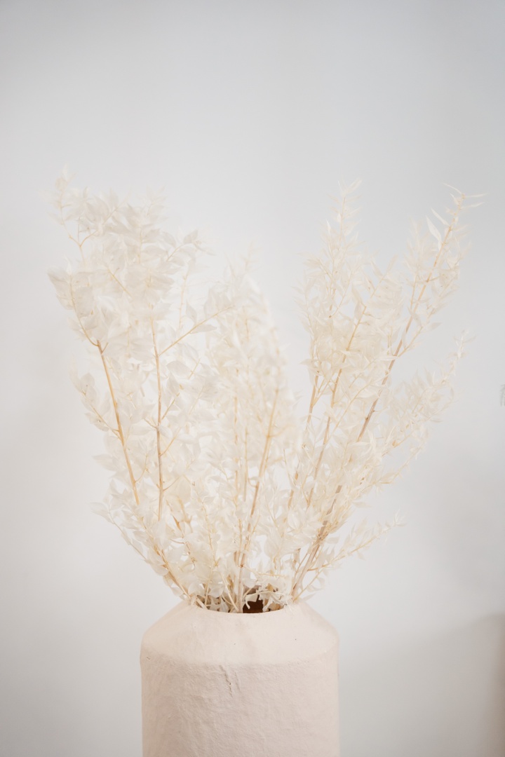 feheritett-ruszkusz-szarazvirag-1