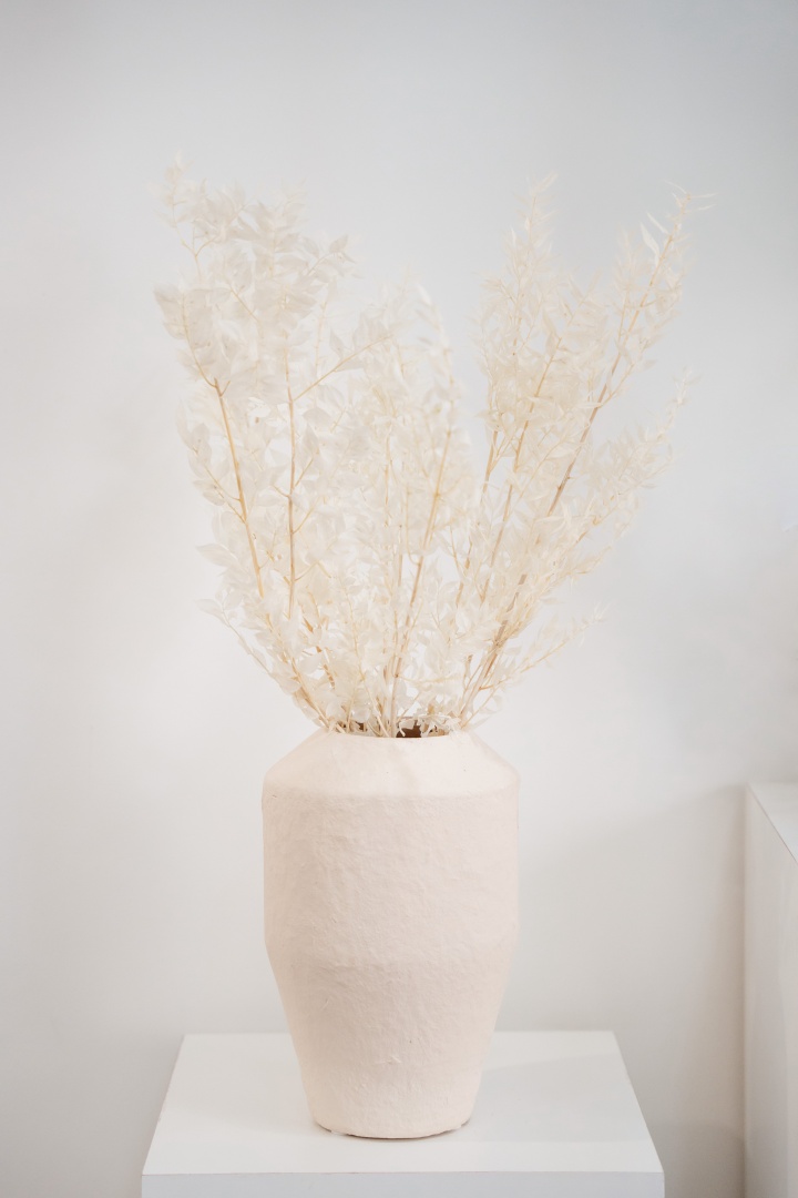 feheritett-ruszkusz-szarazvirag