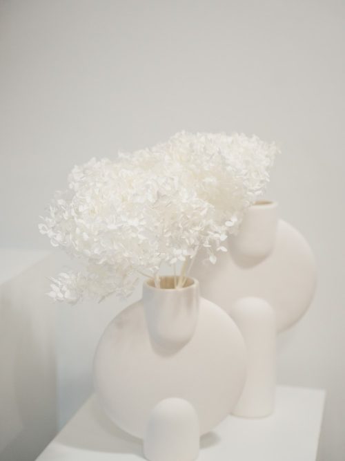 Fehérített preparált hortenzia szárazvirág