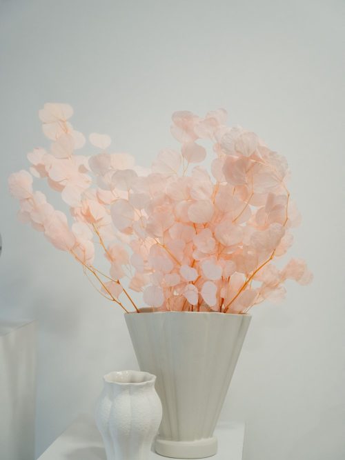 Kerek levelű preparált pasztell barack eukaliptusz szárazvirág