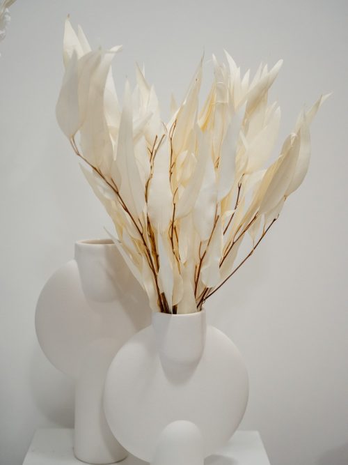 Lándzsa levelű preparált fehérített eukaliptusz szárazvirág