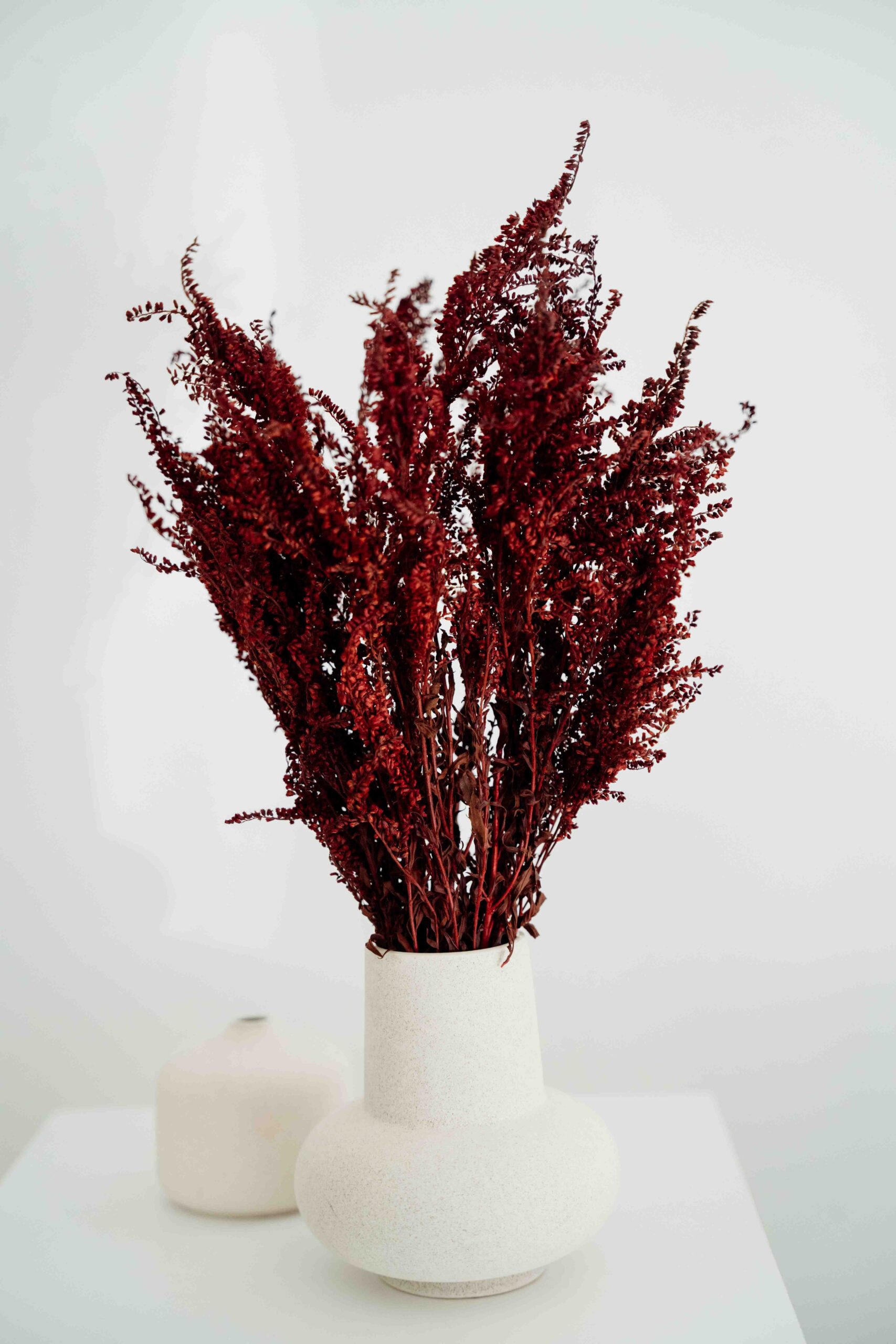 Preparált aranyvessző szárazvirág