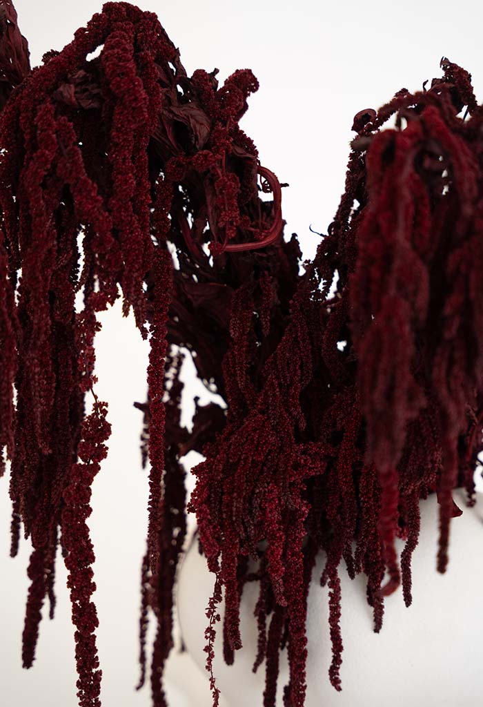 Bordó amaránt - Image 2